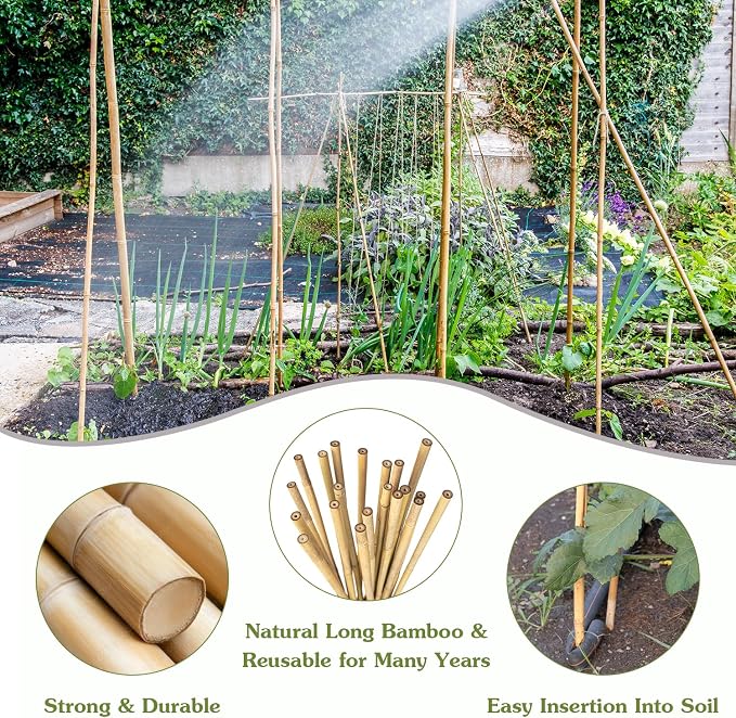 Plant Stakes 4.8FT, Natural Bamboo Stakes, HAINANSTRY 20Pcs Sturdy Bamboo - Image 3