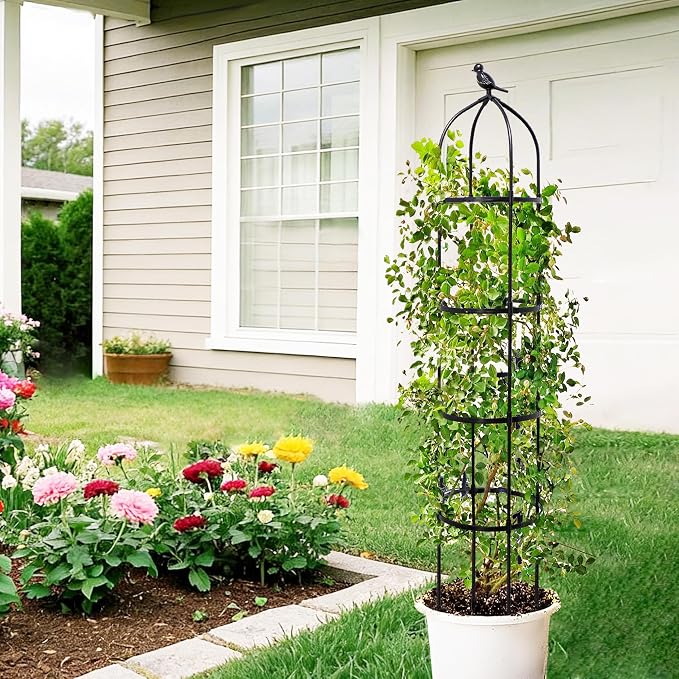 6FT Garden Obelisk Trellis for Climbing Plants, Adjustable 4-Tier Metal Plant - Image 7