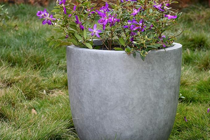 Kante 14 Inch Dia Round Concrete Planter, Indoor Outdoor Large Plant Pot - Image 15