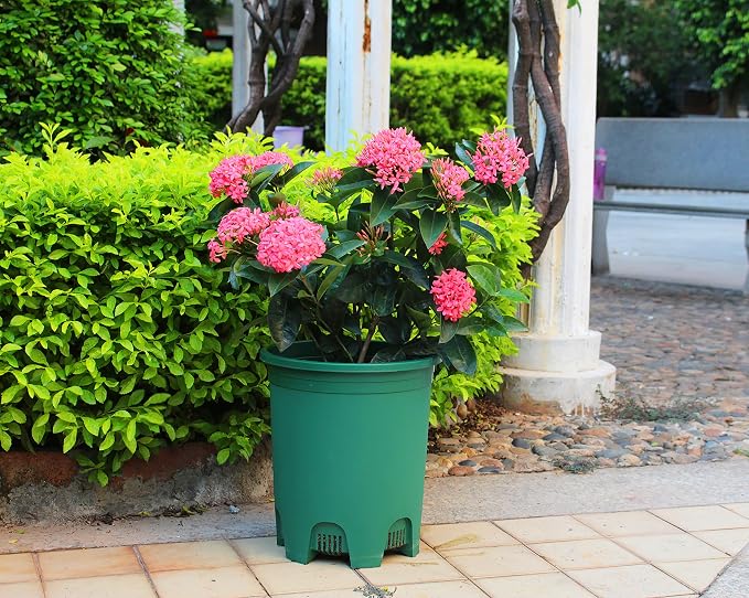 5 Gallon 6-Pack Green Large Plant Pots Nursery Tree Pot Plastic Planters - Image 5