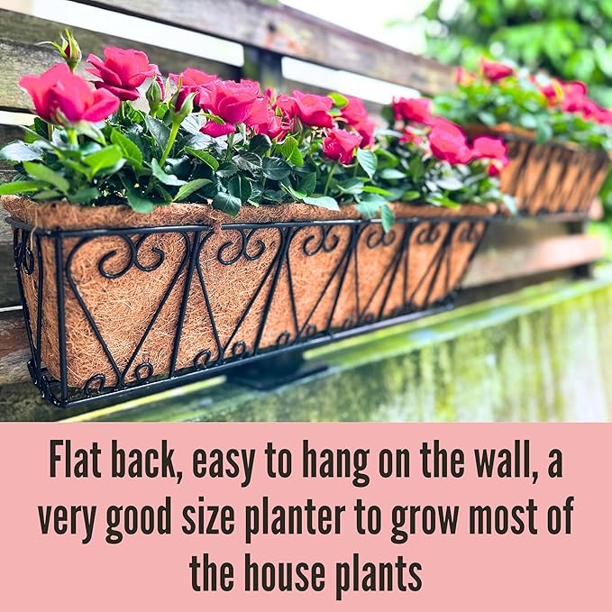 LaLaGreen Wall Hanging Planter - Image 7