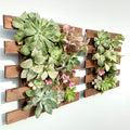 ShopLaLa Wall Planter by ShopLaLa