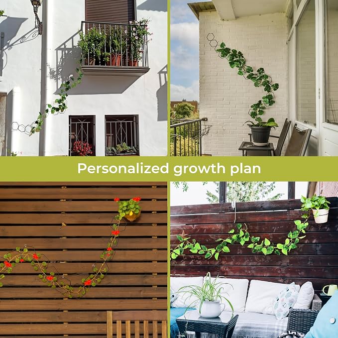 Chain Trellis for Climbing Plants - Image 6