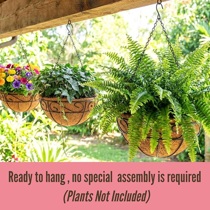 LaLaGreen Hanging Planter For Outdoor Extra Large Black Metal Wire Hanging - Image 4