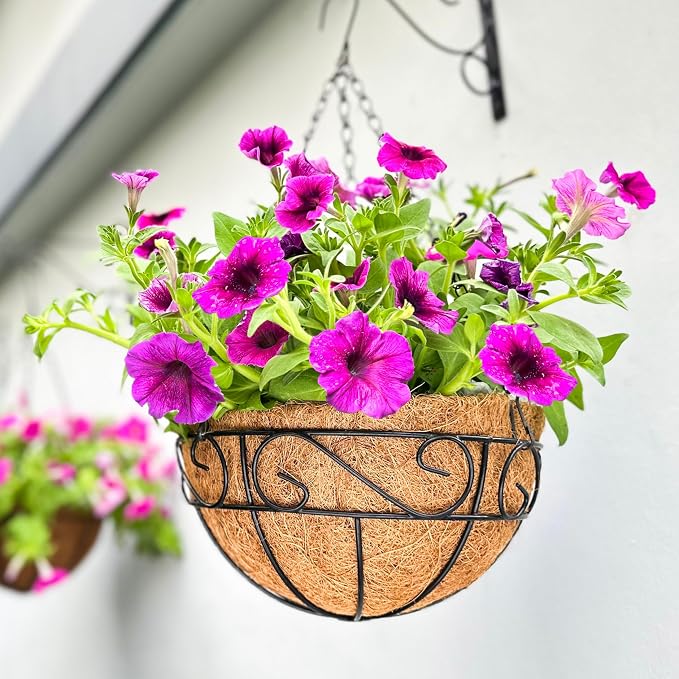 LaLaGreen Hanging Planter for Outdoor Plants Hanging Baskets by L%C3%A1L%C3%A1Green
