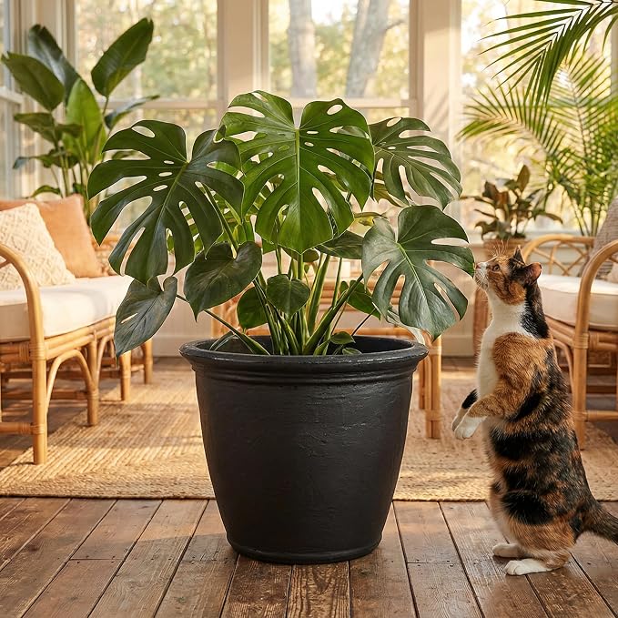 Sunnydaze 24-Inch Anjelica Large Plastic Pot - Image 9