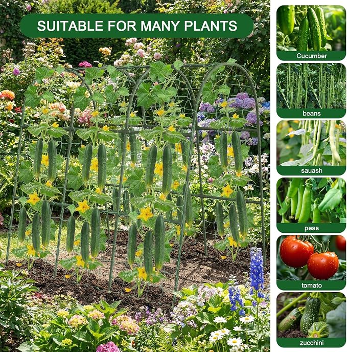 U-Shape Cucumber Trellis for Raised Bed - Image 7