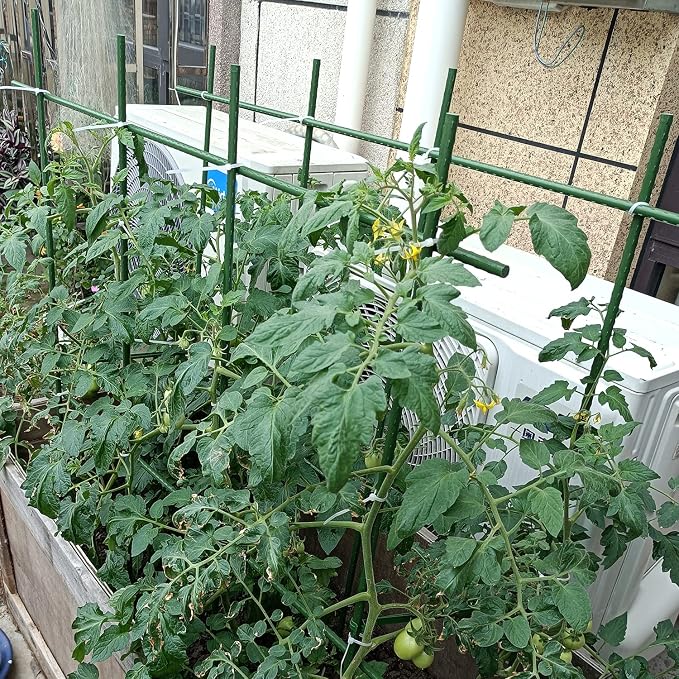 3Feet 36inch Garden Stakes Sturdy Plant Sticks Support Tomato Stakes - Image 3