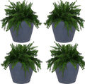 Sunnydaze 24-Inch Anjelica Large Plastic Pot by SunnydazeDecor